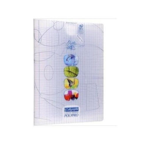 CALLIGRAPHE Lot de 12 Cahiers Travaux Pratiques 24x32cm 96p séyès 90g