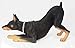 Conversation Concepts Doberman Figurine Black MyDog
