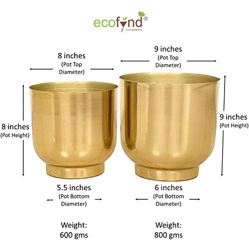 ecofynd 2 Pack Eva Metal Plant Pots (8 inch, 9 inch) | Indoor Planter Flower Pots with Drainage Hole | Home Garden Decor Planter for Living Room Bedroom Interior (Gold Finish)