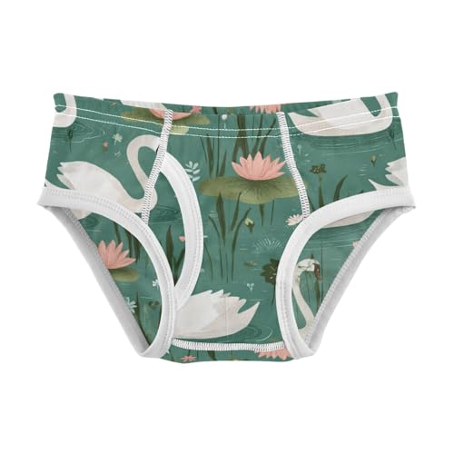 Wusikd Cute Swans Boys' Underwear Cotton Boys Briefs Soft Toddler Underwear 2T