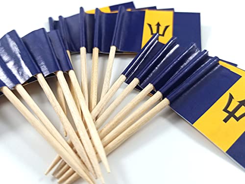 JBCD Barbados Toothpick Flag Barbadian Mini Small Cupcake Topper Flags, 200pcs by JBCD - Used condition - Image 4