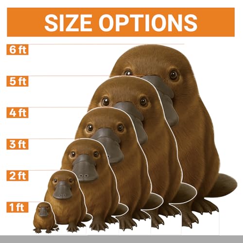 Image of Platypus 4FT Life Size Cardboard Cutout Standup for Party, 1 PC | Animal Themed Cardboard Standup for Events, Party Decor, Birthday Parties, Photo Backdrops, Home Decoration, Gift Giving