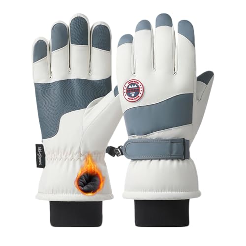 [YUMISS] XL[O[u h fB[XyOwhhhfށE~MۉNтŗ뉺20gz ʋC  ~ ^b`plΉ hH Xm[{[h oCN oR ނ AEghA (^CvA-u[, Fre