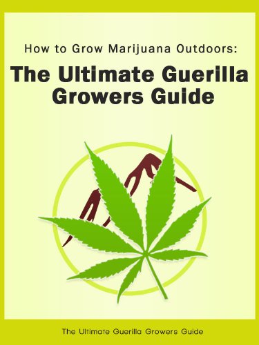 How to Grow Marijuana Outdoors: The Ultimate Guerilla Growers Guide