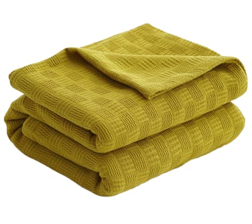 jbguPbgRbg\tgSn̗ǂyʒʋCK[[JE`\t@p  150x200cm