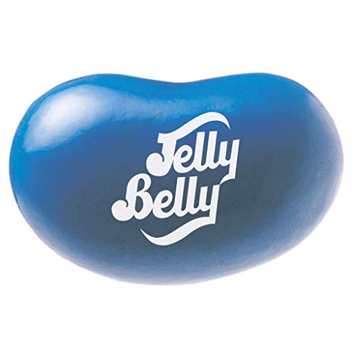 Jelly Belly Blueberry Jelly Beans - 1 Pound (16 Ounces) Resealable Bag - Genuine, Official, Straight from the Source