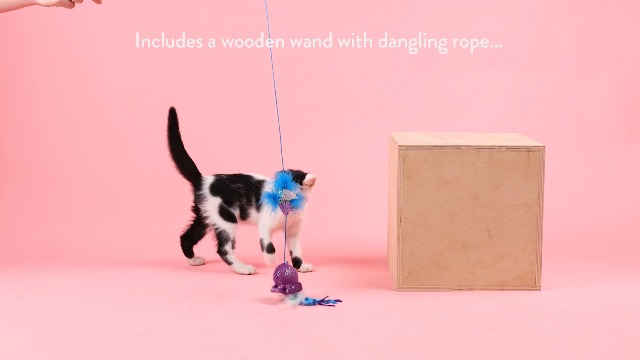 Amazon.com: Fringe Studio Going with THE Tide Teaser Cat Toy, Pet