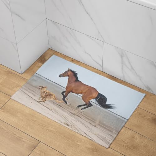 Cheval tapis de porte extra fine et paillasson extérieur isolant 45x75cm - 4