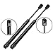 Maxpow Rear Trunk Lid Lift Support Struts Shocks 6405 Compatible with 2008-2010 Sebring, 2010-2014 200, 2005-2008 300 Trunk Lift Support Gas Spring Props, SG414049