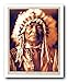 Native American Sitting Bear Arikara Edward S. Curtis Art Print Poster (16x20)