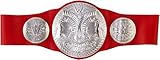 WWE RAW Tag Team Championship Title