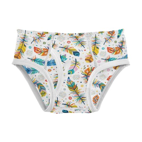 Boys' Exclusive Briefs Toddler Underwear 95% Combed Cotton Boxerbriefs 2T Colorful Feather Pattern 5
