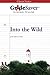 GradeSaver (TM) ClassicNotes: Into the Wild