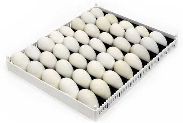 Adjustable Egg Setter Tray, Adjustable Separators Fit Chicken, Quail, Goose, Duck, Turkey, Pheasant, and Partridge Eggs, Washable, Easy to Clean ABS Plastic, Cimuka, Fits Hatching Time T Incubators