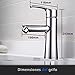 Grifo lavabo Dalmo DAKF4F Grifo de baño con Aireador Desmontable, Agua Fría...