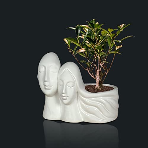Image of Lasaki Couple White Ceramic Pots for Indoor Plants, Planters, Flower, Pots, gamla, Outdoor, Balcony, Home, Garden, Office Decor, Succulent Pot(L - 16 X W - 10 X H - 14.5 cm)(Plants not Included)