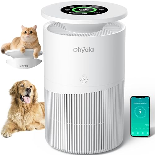 Dhyala Air Purifier for Large Room