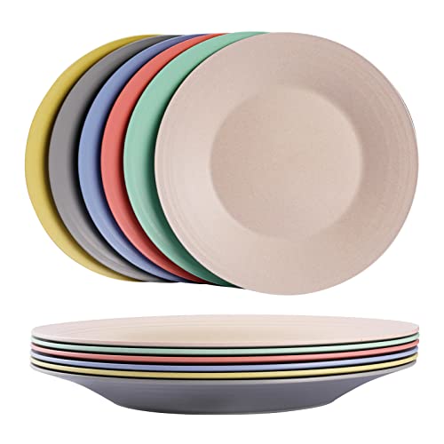 5 Best MicrowaveSafe Plastic Plates for Easy and Convenient Dining