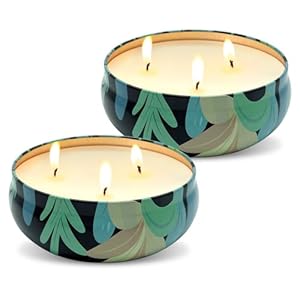 Winbattle Citronella Outdoor and Indoor Large Candles 2 Packs Total 27 oz, 3 cores Burn for 150 Hours, Perfect for Summer Gardens, patios, Camping, picnics, Outdoor, Indoor and Barbecue