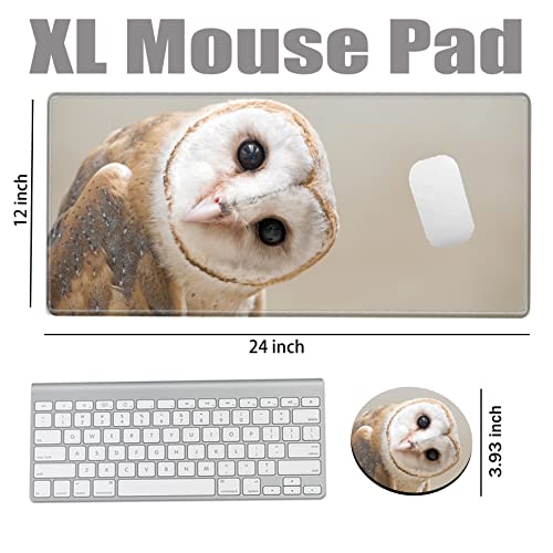 Image of Large Mouse Pad 24x12 inch Desk Mats on Top of Desks Pad Gaming Mousepad Owl Long Extended Desk Protector Mat Big Laptop Mat for Wireless Mouse Non Slip Work Computer