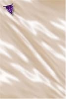 Her Purple Panties 1593740107 Book Cover