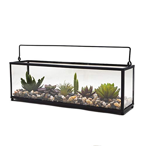Kuingbhn Plant Terrarium Terrarium Display Media Table Glass Geometric Terrarium Tabletop Succulent Plant Box Planter (Color : Black, Size : 40x10x12cm)