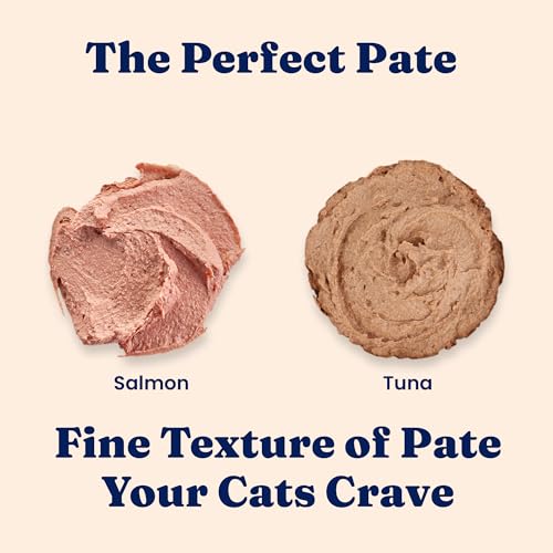 Image of Solid Gold Tropical Blendz Salmon Pate in Coconut Oil - Nutrient-Rich Wet Cat Food for All Life Stages, 16 Pack