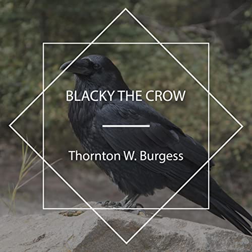 Blacky the Crow by Thornton W. Burgess episode artwork
