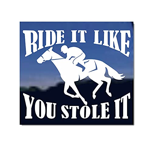 Ride It Like You Stole It ~ Thoroughbred Racing Horse ...