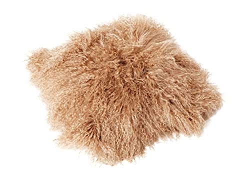 Reissner Lammfelle Tibet Peau de Mouton de Mongolie Housse de Coussin 30x30cm - Grand sélecteur de Couleur JAY26 Couleur Camel/châtain Clair