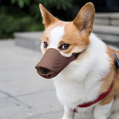 Yemax p  }Y VR Aq^ ʖih~ EHh~ ݂h~ ybgObY ^ ^ \ ʋC   RXv U p