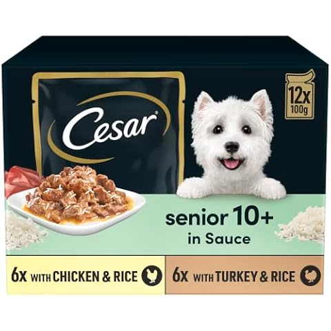 CESAR Senior Wet Dog Food Pouches Selection Cover