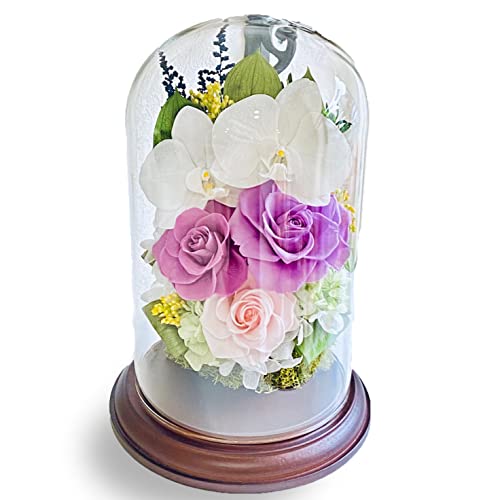 胡蝶蘭 プリザーブドフラワー お悔やみの人気商品 通販 価格比較 価格 Com