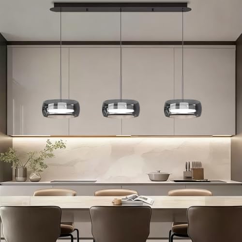 PANNN Lampadario Contemporanea A LED Lampada A Sospensione In Vetro Fumé Lampadario In Stile Industriale Lampada Da Pranzo Sospesa Regolabile In Altezza Adatta Per Soggiorno Cucina Camera Da Letto(A2)