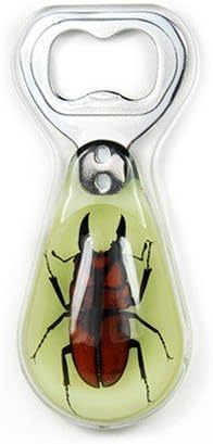 Ed Speldy East BO304 Real Bug Bottle Openers-Orange Stag Beetle-Glow in the Dark pack of 2