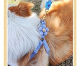 feiling Hundegeschirr Blumen Design mit 1.5m Hundeleine Verstellbare Brustgeschirre Weichem Katzengeschirr Haustier Softgeschirr für Kleine Mittlere Hunde (pink, S)