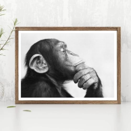 Impression sur toile singe noir et blanc TONGYINLI décoration murale 50x70cm