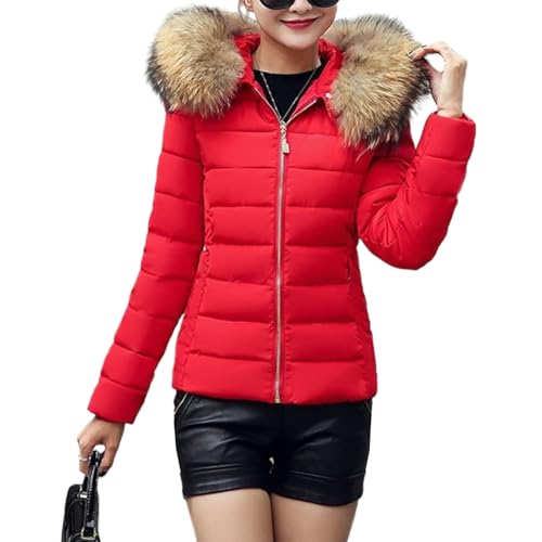 Manteau d'hiver court décontracté pour femme idéal pour le quotidien urbain et les sorties