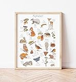 Retro Metal Tin Sign 12 X 16 Inches Woodland Alphabet Poster Woodland Animals Nursery Wall Art Montessori ABC Poster Nursery Alphabet Kids Room Woodland Nursery Decor Home Decoration Art Poster