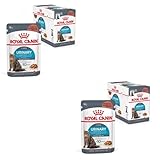 ROYAL CANIN