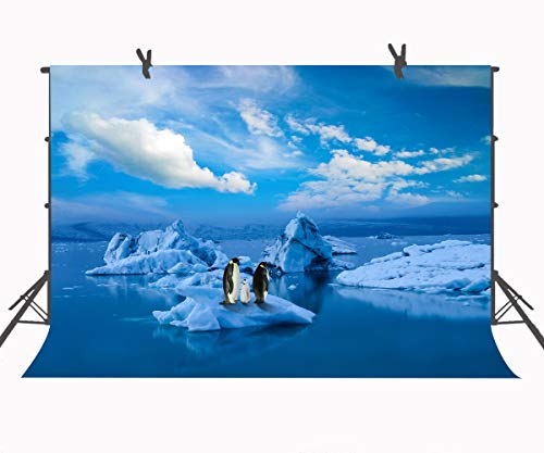 FUERMOR Penguin Background 7x5ft Blue Sky Ice World Photography Backdrop Photo Props Room Mural LYFU161