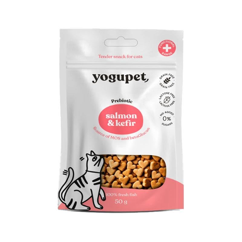 Snack chat sensible saumon kéfir contre digestion difficile