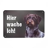 Hier wache ich Hund Schild Gartenzaun Schild, Warnung vor dem Hund Zaunschild Aluminium Verbundmaterial 24 cm x 16 cm, Made in Germany (Deutsch Stichelhaar Jagdhund)