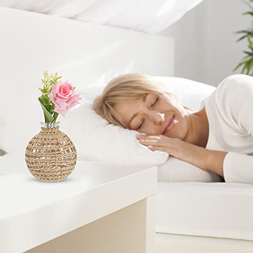 DOITOOL Glass Farmhouse Vases Clear Flower Bud Vase with Wrapped Rope Coastal Style Hydroponic Vase Vintage Country Vase Planter Table Centerpiece - Image 3