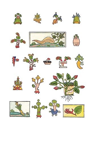 An Aztec Herbal: The Classic Codex of 1552 - Image 3