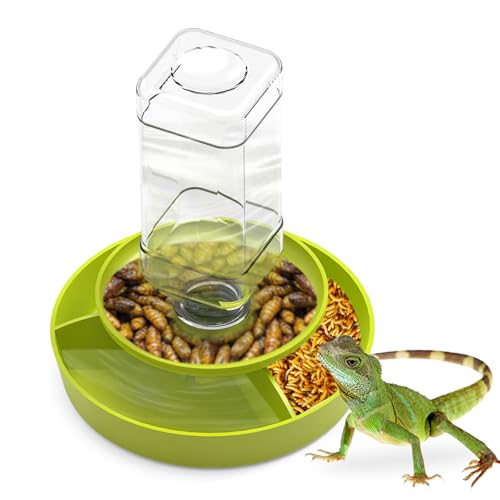 Image of 2 in 1 Reptile Food Feeders Bowl Water Bottle, Automatic Water Dispenser Reptile Feeder Kit for Amphibian Lizard Bearded Dragon Snake Feeding (Green)