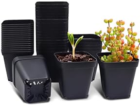 ミニ鉢植用ポット 6種類セット 81oWmWQ4nVL.jpg_BO30,255,255,