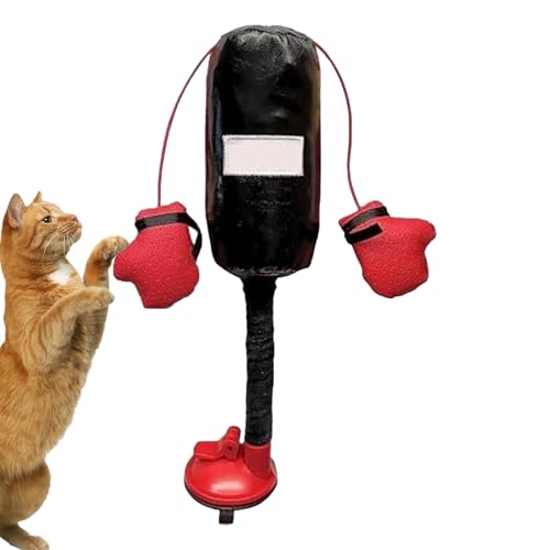 Kätzchen-Boxspielzeug, interaktives Kätzchenspielzeug, Boxsack, kreativer Boxsack, Kätzchen-Boxspielzeug für Katze, Kätzchen, Hund, Welpe