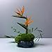FLARINGEXTRA1 Water Lotus Bowl Planter Kit - Japanese Compote Bowl Ikebana Vase Set w/ 1.8