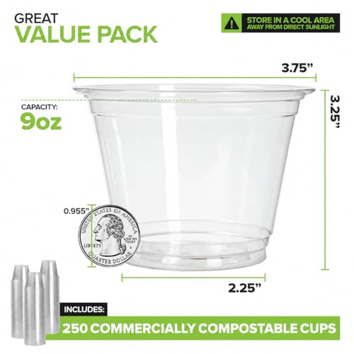Stock Your Home 9 oz Clear PLA Cold Cups 250 Pack Disposable Party Cups for Water Wine Beer Sample Cups by Stock Your Home - Image 2